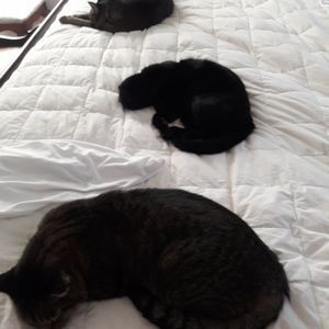 Meet your Posher, Leisa